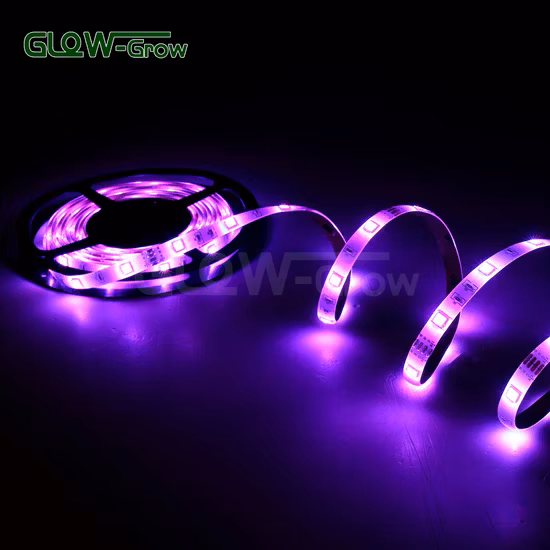 Venda por atacado à prova d'água Bluetooth SMD 5050 RGB Luzes de tira LED para decoração de Natal de sala de casa 5m / 10m / 15m / 20m